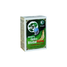 Ginko biloba forte kps