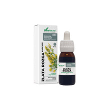 Sori zlata rozga xxl tinktura 50ml