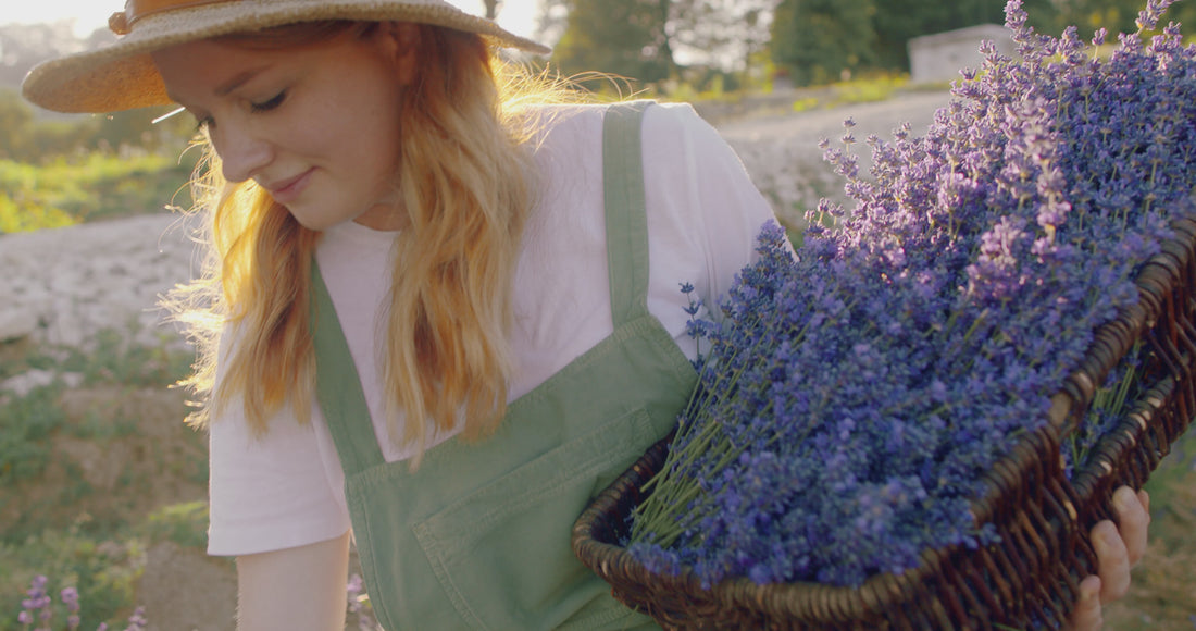 Naloži videoposnetek: 